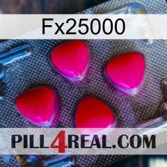 Fx25000 13